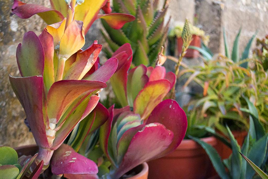 La Terrazza — camera da letto
