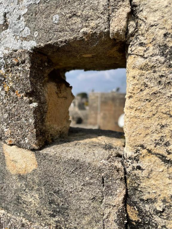 Suite Le Rondini — soggiorno