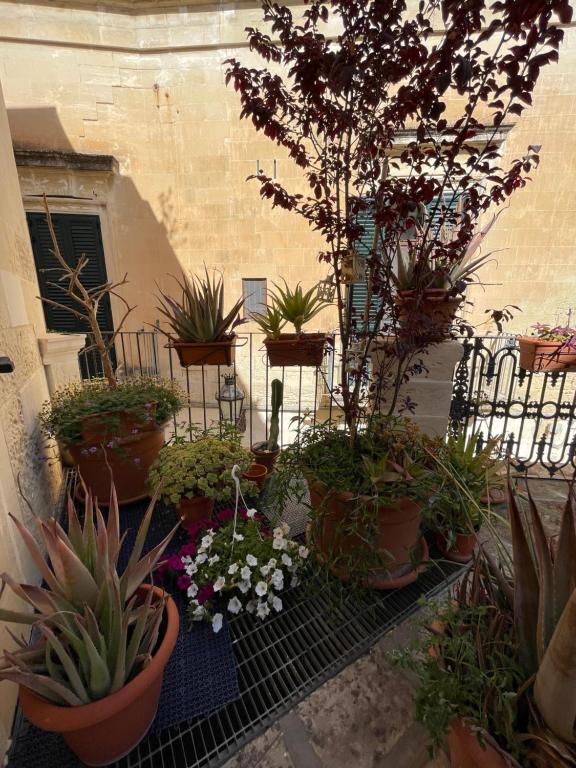 Suite Le Rondini — arredo